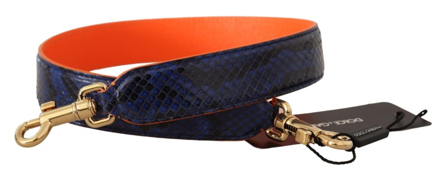 Women Dolce & Gabbana Women'S Others Accessories | Dolce & Gabbana Blue Orange Python Leather Accessory Shoulder Strap