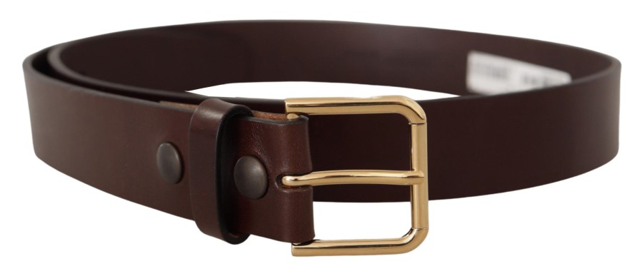 Men Dolce & Gabbana Men'S Belts | Dolce & Gabbana Brown Polished Leather Gold Tone Metal Buckle Belt