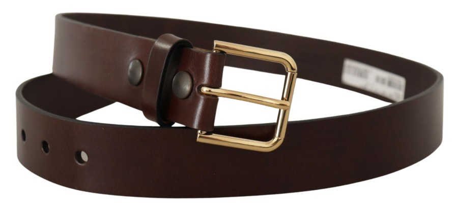 Men Dolce & Gabbana Men'S Belts | Dolce & Gabbana Brown Polished Leather Gold Tone Metal Buckle Belt