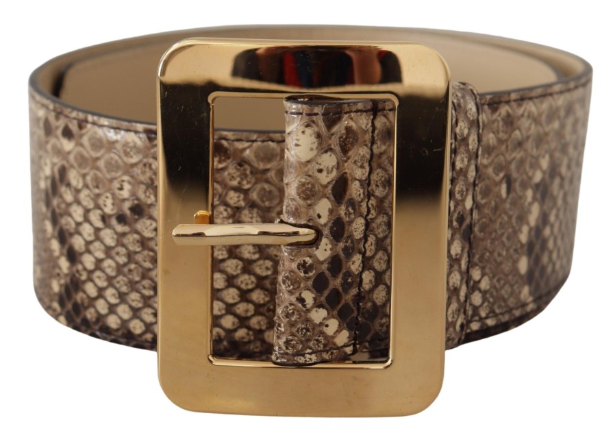 Women Dolce & Gabbana Women'S Belts | Dolce & Gabbana Brown Exotic Wide Waist Leather Gold Metal Buckle Belt