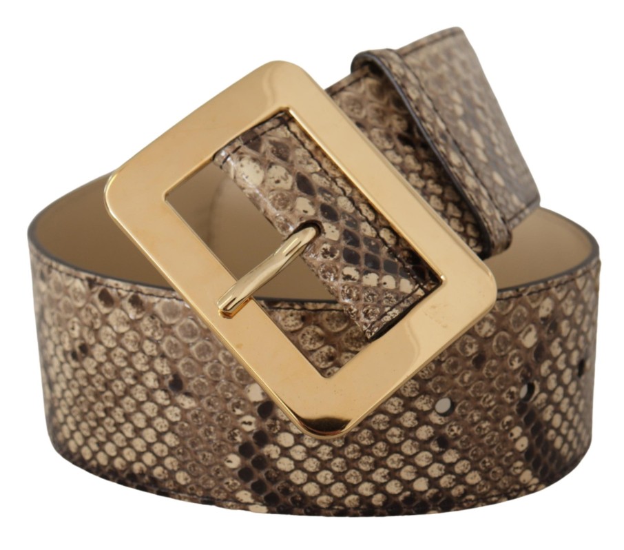 Women Dolce & Gabbana Women'S Belts | Dolce & Gabbana Brown Exotic Wide Waist Leather Gold Metal Buckle Belt