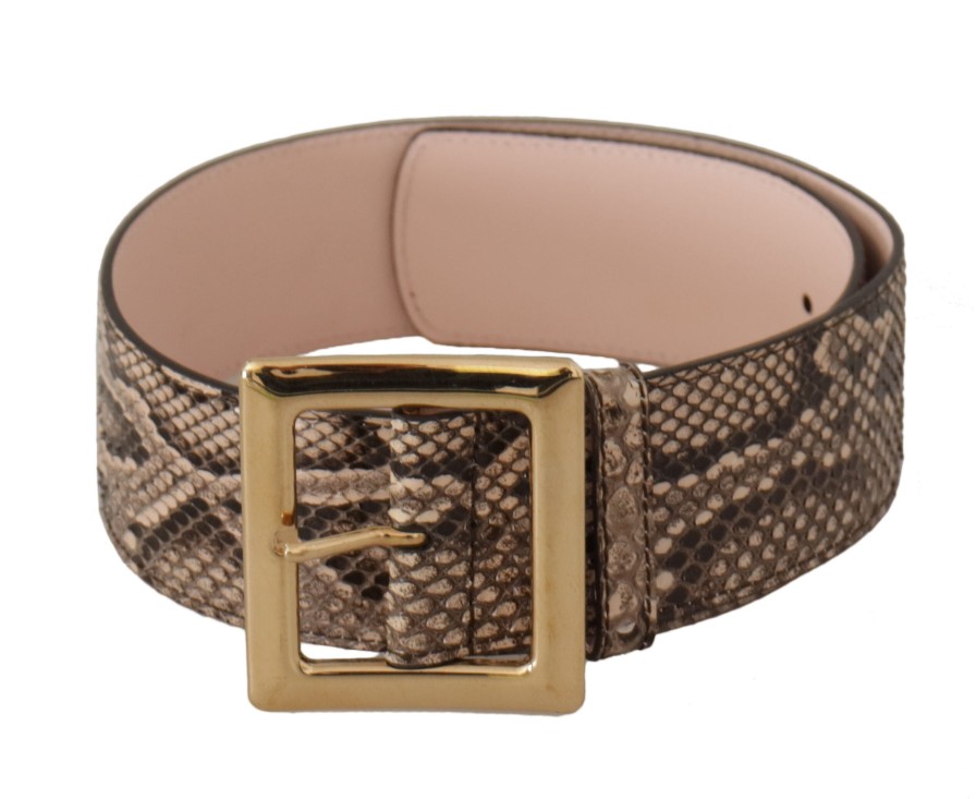 Women Dolce & Gabbana Women'S Belts | Dolce & Gabbana Beige Exotic Leather Wide Gold Metal Buckle Belt