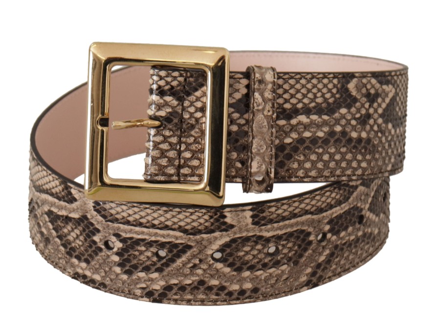 Women Dolce & Gabbana Women'S Belts | Dolce & Gabbana Beige Exotic Leather Wide Gold Metal Buckle Belt