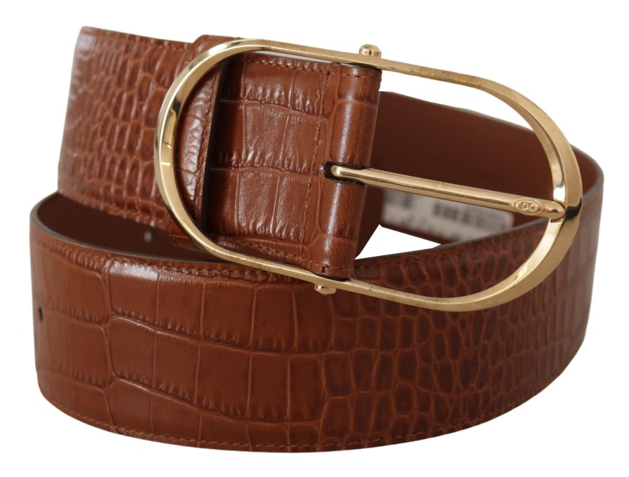 Women Dolce & Gabbana Women'S Belts | Dolce & Gabbana Brown Wide Waist Leather Gold Oval Metal Buckle Belt