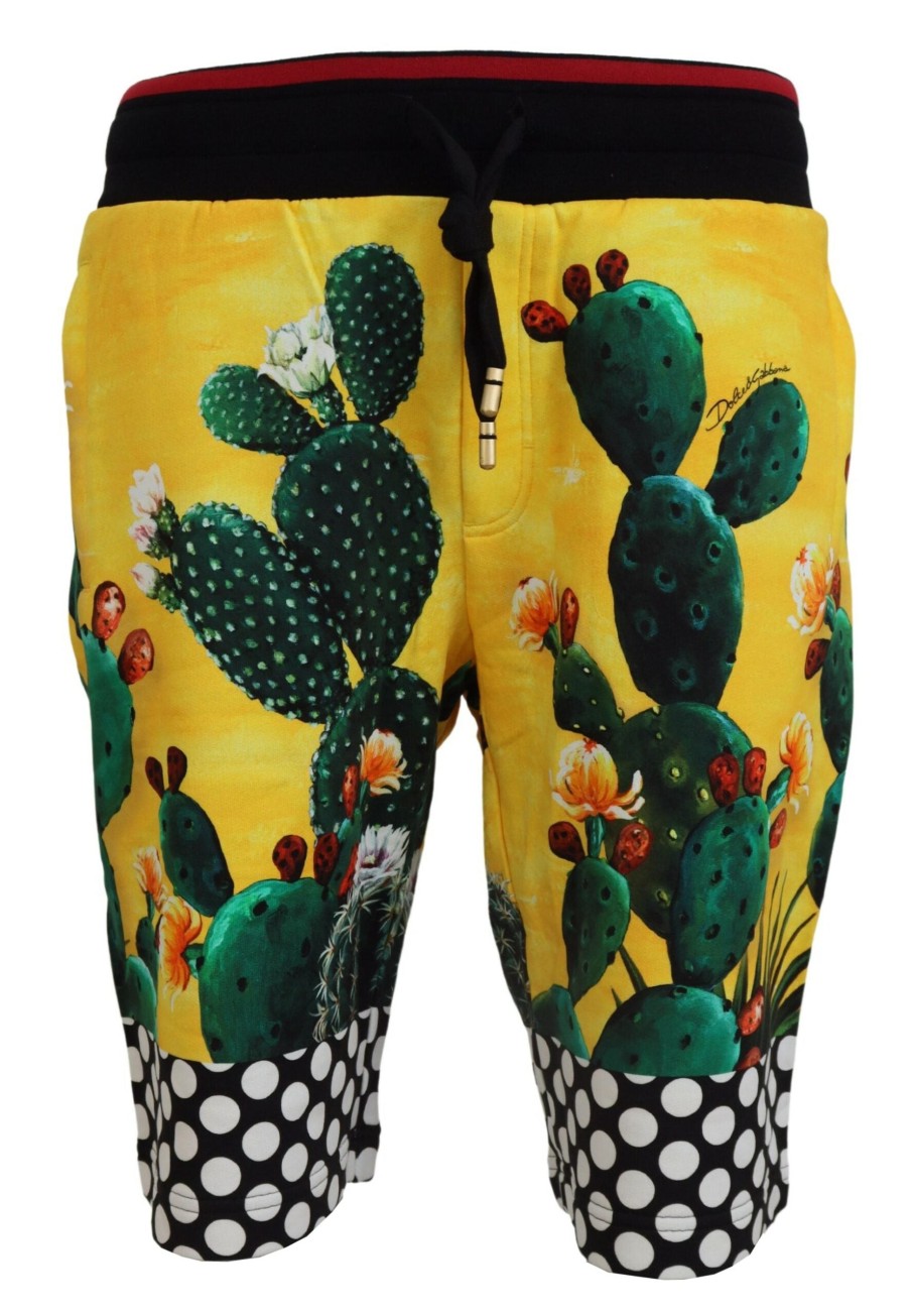 Men Dolce & Gabbana Men'S Shorts | Dolce & Gabbana Multicolor Cactus Print Cotton Sweat Shorts