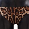 Women Dolce & Gabbana Women'S Swimwear | Dolce & Gabbana Bikini Bottom Brown Leopard Print Swimsuit Swimwear